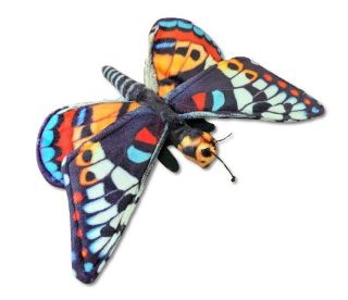 Obrázek z Motýl modrý 30cm (300) 